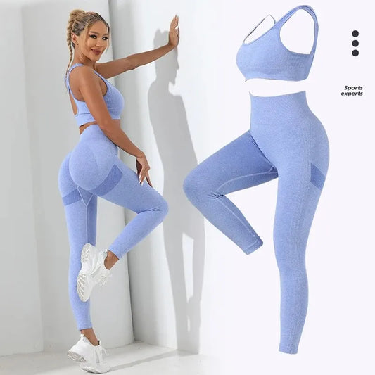 2pcs Seamless High Stretch Yoga Set